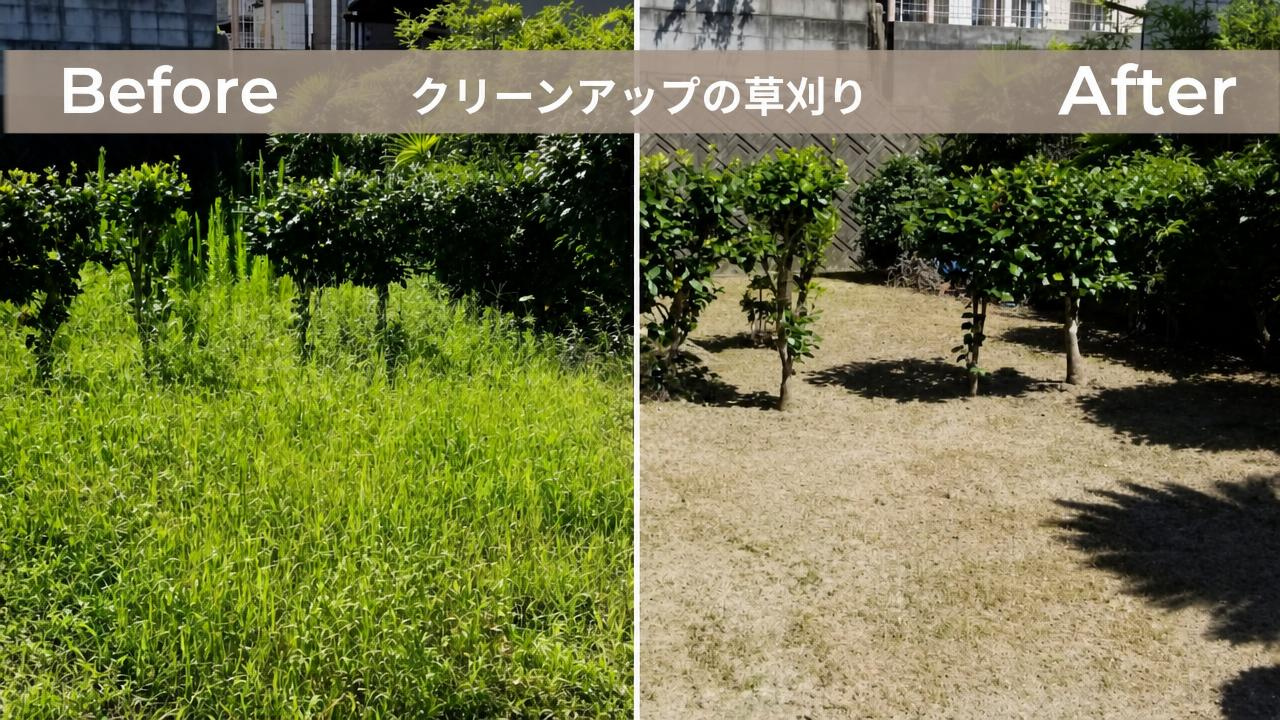 草刈りbeforeafter