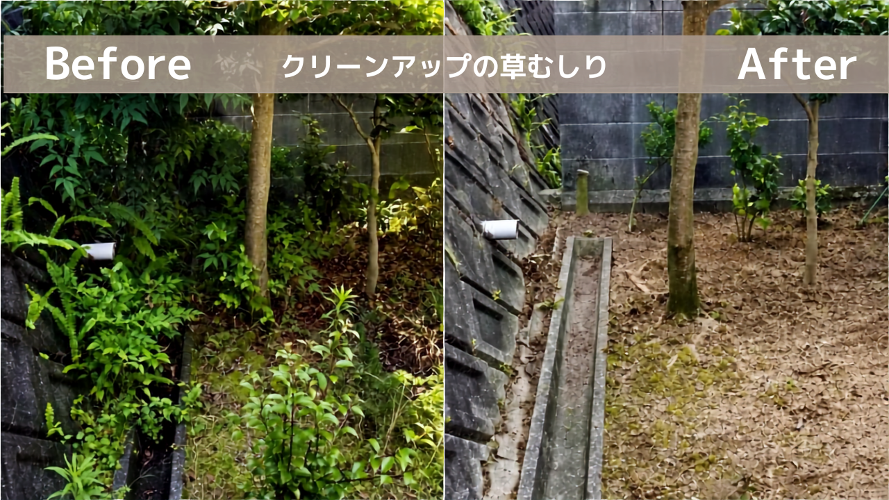 草むしりbeforeafter