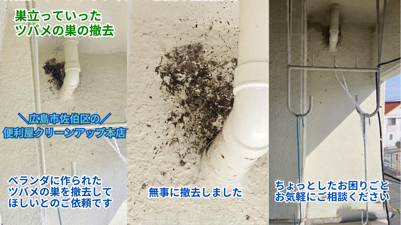 �c�o���̑��̓P��