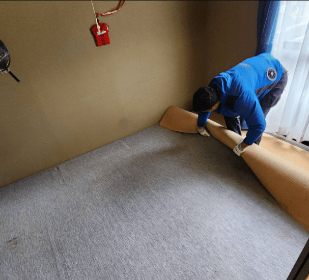 �J�[�y�b�g��~���Ă���摜