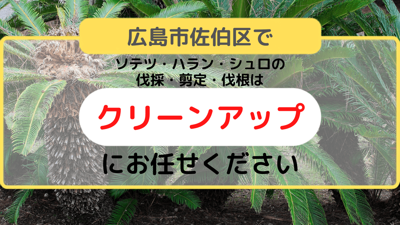 ソテツ・ハラン・シュロの伐採・剪定・伐根